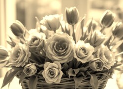 Sepia