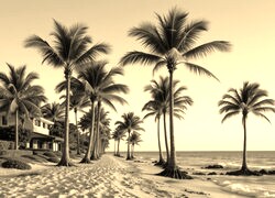 Sepia