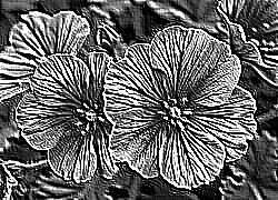 Skamielina