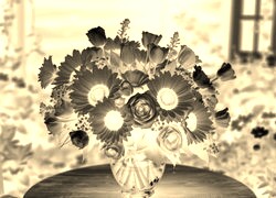 Sepia + Negatyw