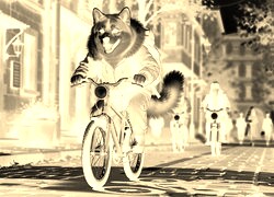 Sepia + Negatyw