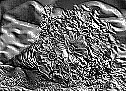 Skamielina