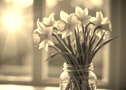 Szary + Sepia