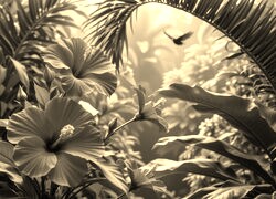 Szary + Sepia
