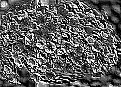 Skamielina