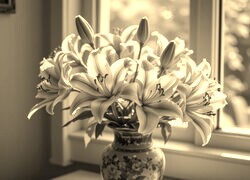 Szary + Sepia
