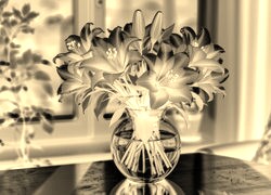 Sepia + Negatyw