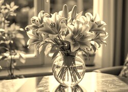 Szary + Sepia