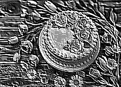 Skamielina