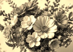 Szary + Sepia