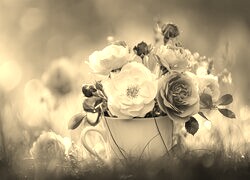 Szary + Sepia