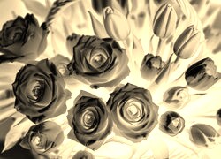 Sepia + Negatyw