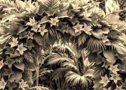 Sepia