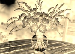 Sepia + Negatyw