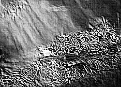 Skamielina