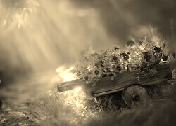 Szary + Sepia