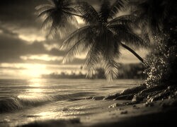Szary + Sepia