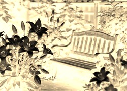 Sepia + Negatyw