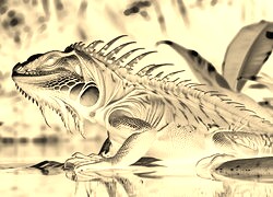 Sepia + Negatyw