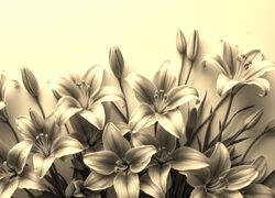 Szary + Sepia