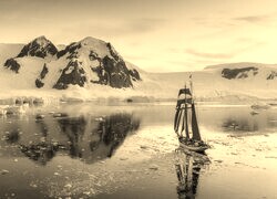 Szary + Sepia