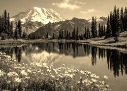 Sepia
