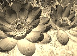 Sepia + Negatyw