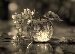 Szary + Sepia