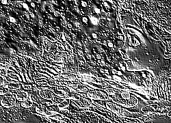 Skamielina
