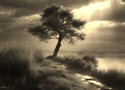 Sepia