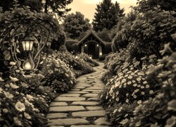 Szary + Sepia