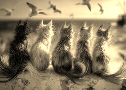 Szary + Sepia