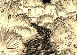 Sepia + Negatyw