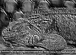 Skamielina