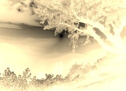 Sepia + Negatyw