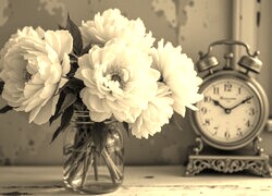 Szary + Sepia