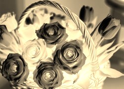 Sepia + Negatyw