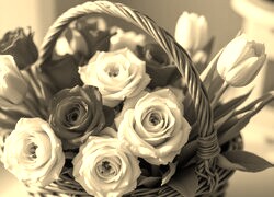 Sepia