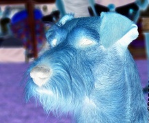 Negatyw