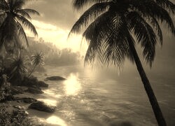 Szary + Sepia