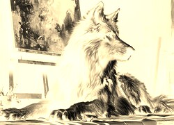Sepia + Negatyw