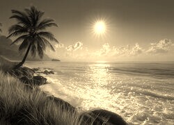Sepia
