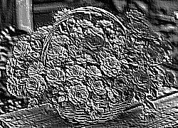 Skamielina