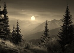Szary + Sepia