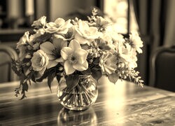 Szary + Sepia