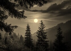 Sepia