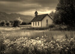 Szary + Sepia