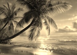 Szary + Sepia