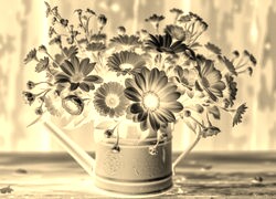 Sepia + Negatyw