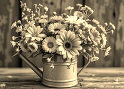 Szary + Sepia